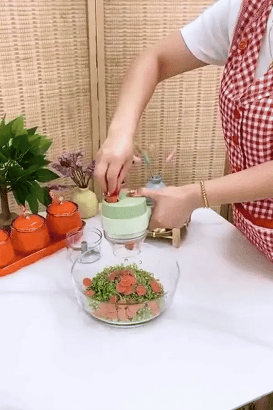 4-in-1 Handheld Wireless Electric Vegetable & Garlic Chopper